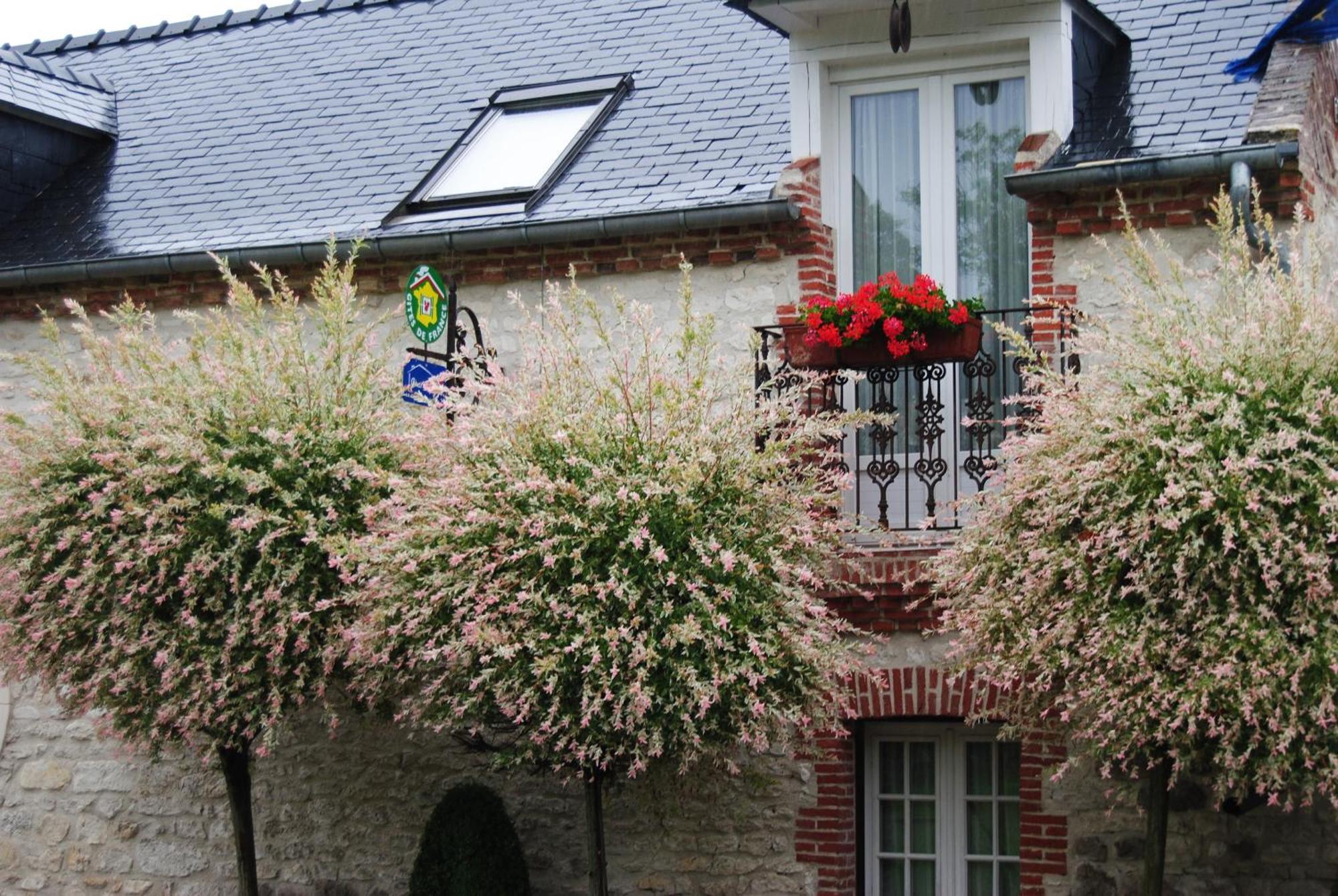 Le Grand Logis - Guest House - Bed And Breakfast Marchais  Kamer foto